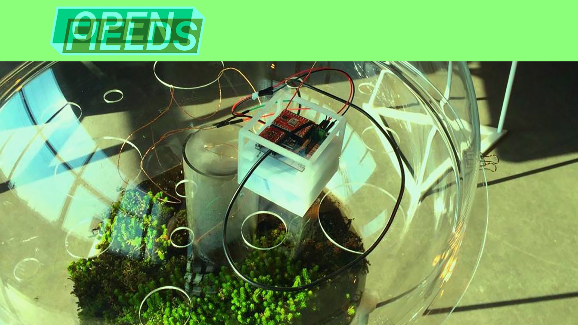 call: OPEN FIELDS 2019: GREEN, POST-HUMAN AND AI art & technology