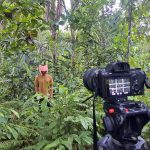 call: AMAZÓNICA Artist-in-Residence – Peru