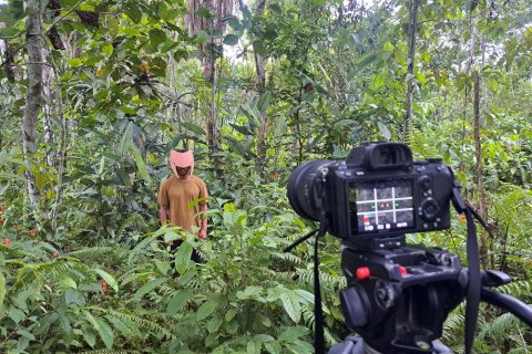 call: AMAZÓNICA Artist-in-Residence – Peru